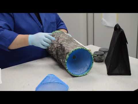 Biston betularia trapping pt2