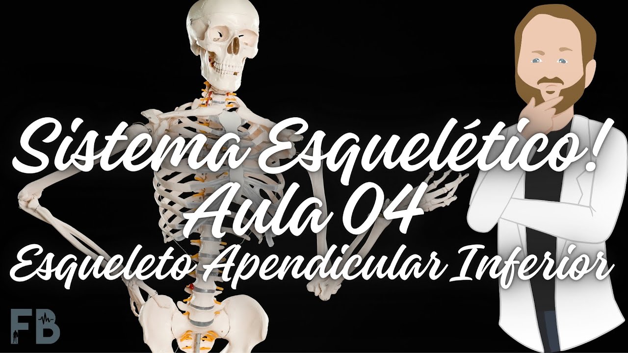 Sistema Esquelético Apendicular Inferior -  Anatomia Clínica | Prof. Felipe Barros
