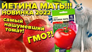 Йетина Мать Семена Алтая Купить