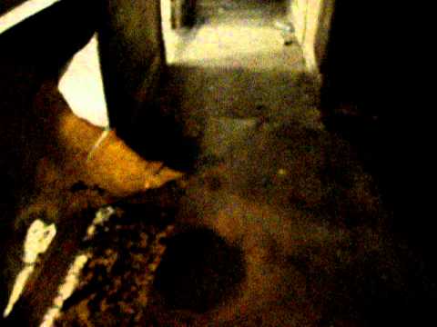 Cheat To Win/ floor problems