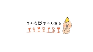 珍太ちゃんねる のライブ配信