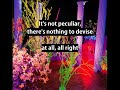 It’s Not Peculiar - Hüsker Dü (with lyrics)