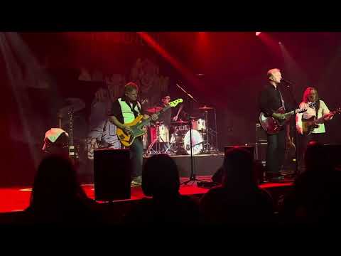 Juliet Jonesin Sydän - Jänis