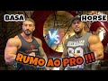 TREINO DE PEITO COM BASA #ELITESQUAD ( rumo ao pro ).
