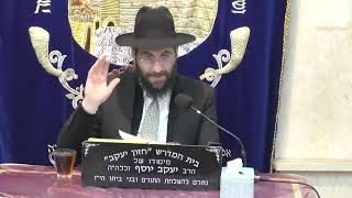 הרב משה יוסף דיני קריאת המגילה (בית הכנסת מוסאיוף) - התמונה מוצגת ישירות מתוך אתר האינטרנט יוטיוב. זכויות היוצרים בתמונה שייכות ליוצרה. קישור קרדיט למקור התוכן נמצא בתוך דף הסרטון