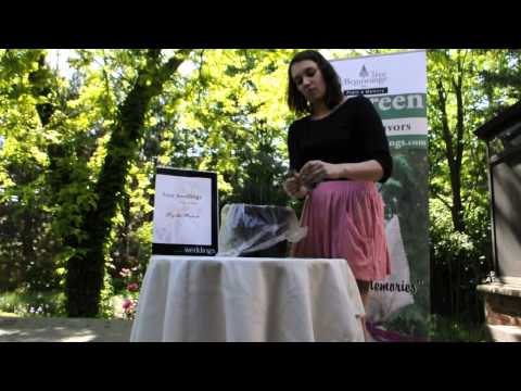 download lagu mp3 mp4 Baby Trees As Wedding Favors, download lagu Baby Trees As Wedding Favors gratis, unduh video klip Baby Trees As Wedding Favors