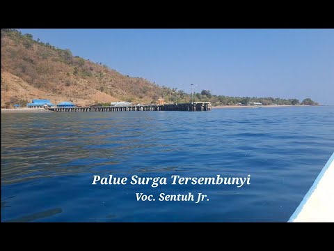 Palue, Surga Tersembunyi|| Voc. Sentuh Jr.