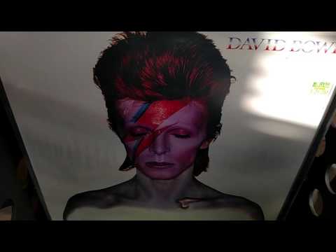 David Bowie Vinyl 10" & LPs