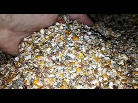 Gabonatisztítók (rosták) 25 t/h,  kiterjedt vetőmagtisztítási képességekkel,  magtisztító