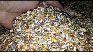 Gabonatisztítók (rosták) 25 t/h,  kiterjedt vetőmagtisztítási képességekkel,  magtisztító