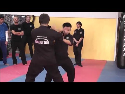 Pencak Silat drill - Cecep Arif Rahman and Claudio Conti