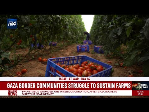 Gaza border communities struggle to sustain farms amid the war