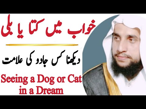 Seeing a Dog or a Cat in a Dream | Black Magic | قاری عبدالباسط سلفی |