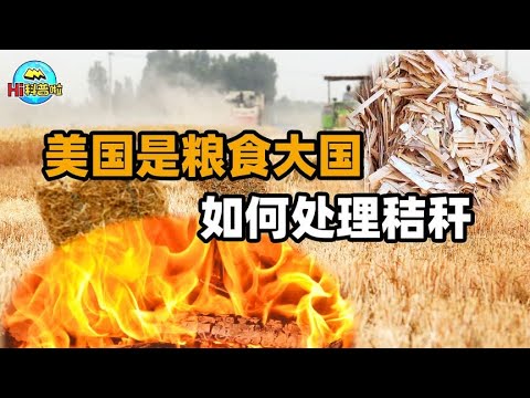 , title : '一亩百元，中国农民烧柴都不用的秸秆，为什么美国还能拿它赚钱？'