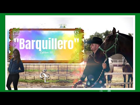 Española 🇪🇸 Reacciona #MusicaMexicana🇲🇽 #Calibre50 " EL BARQUILLERO"