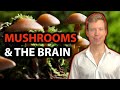 Why Lions Mane Supplements Are A WASTE Of Money