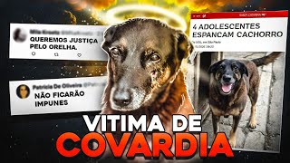 THE CASE OF THE DOG WITH THE EAR