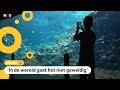 Nederlandse dierentuin kweekt tropisch koraal