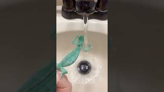 Chameleon Throws Hands with Running Water 💦🦎😂