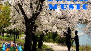 Johnny Rawls - Red Cadillac