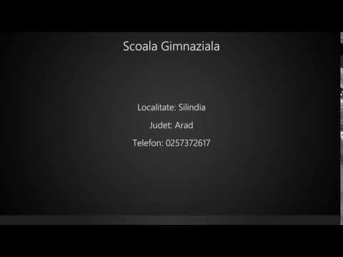 Scoala Gimnaziala Silindia