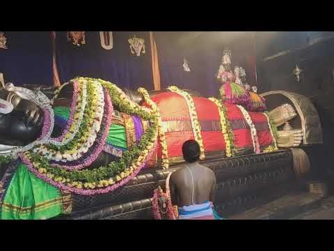 Sri Ranganatha swami temple (Perumal) #srirangam