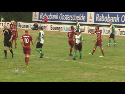 Samenvatting WHS -ADO Den Haag