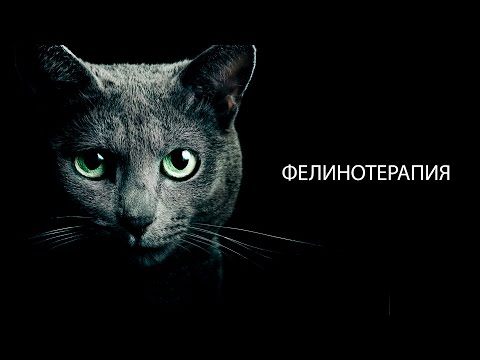 Гидрокортизоновая мазь при остеохондрозе шейного отдела позвоночника Боли в пояснице при колите кишечника