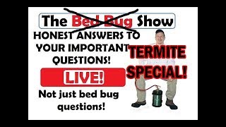 The Bed Bug Show - Live Friday night Show - TERMITE SPECIAL