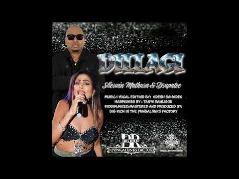 Sherwin Mathura X Drupatee Ramgoonai | Dillagi  Bollywood Refix 2025 