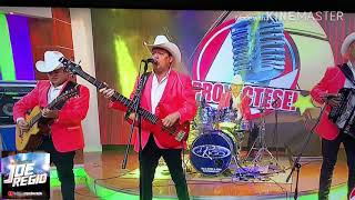 LOS CADETES DE LINARES DE HOMERO GUERRERO JR. - LA PELONA Y LA PELUDA.