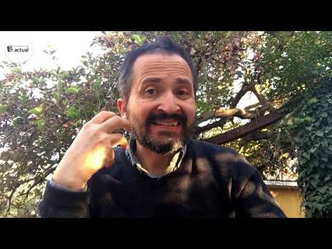 La Edad Media (en el Arte) cap03