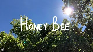 The Kooks - Honey Bee (Lyrics)