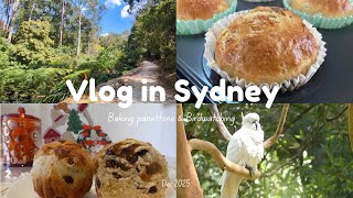 シドニーVlog｜心を休める週末｜パネトーネ作りと癒しの鳥さんぽ🕊️
