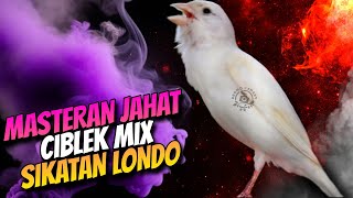 Download lagu AUTO MAHAL KALO ISIAN INI - MASTERAN KENARI ISIAN CIBLEK MIX SIKATAN LONDO GACOR mp3