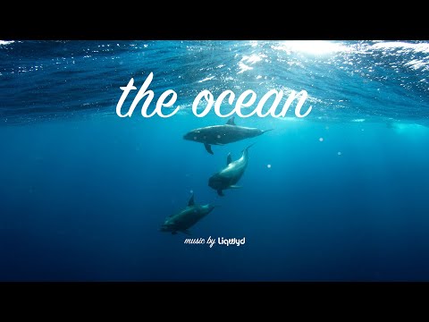 LiQWYD - The Ocean [Official]