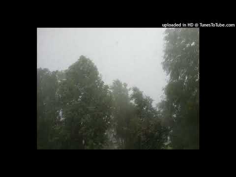 PULSE - DUALITY W/XEROGI