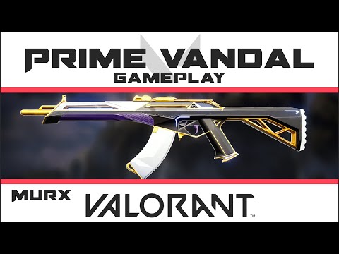 Prime Vandal VALORANT Skin GAMEPLAY (x20 Finishers) | Level 4 Chroma | HD Skins Showcase