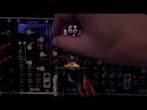 Qu-Bit Electronix Nautilus image 4