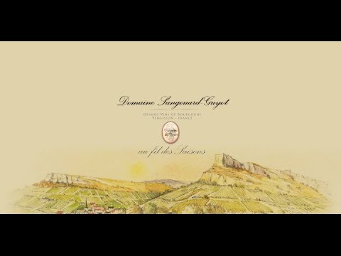 Patrimoine Des Terroirs - Domaine Sangouard-Guyot