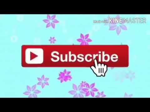 Una giornata fortunata😇❤