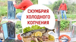 Дымогенератор Hanhi 2: скумбрия холодного копчения