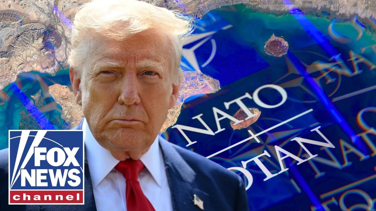 NATO allies are at RISK, not the US: Former Israeli ambassador