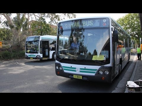 Forest Coachlines M/O 7831 - Mercedes-Benz O405 (ZF/Custom Coaches CB50)