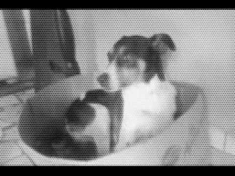 lele.wmv