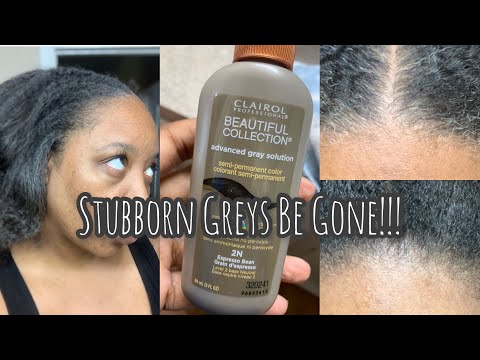Here We Go Again | Covering Grey with Clairol...