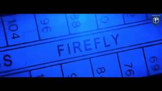 Paul Oakenfold feat .Matt Goss - Firefly (clip oficial)