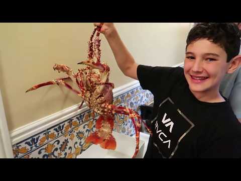 Cervejaria Ramiro Lisbon Marks Family