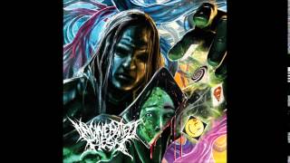 Incinerated Flesh - Murder on Acid Full Album (2014)
