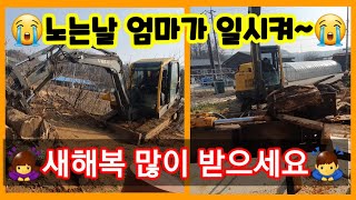 포크레인 유압도끼로 엄마네 화목보일러 화목하기 체인톱 엔진톱 굴삭기 전원일기 귀농귀촌